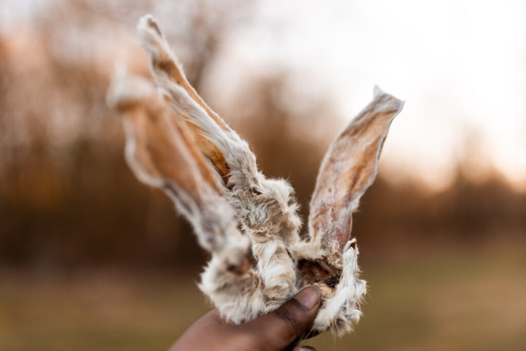 Natuurlijke honden snacks