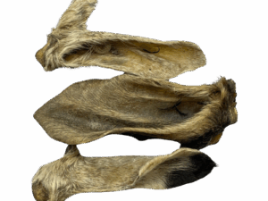 Geitenoren met Haar