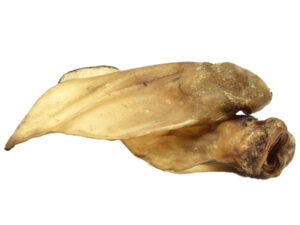Runderoren met Vlees
