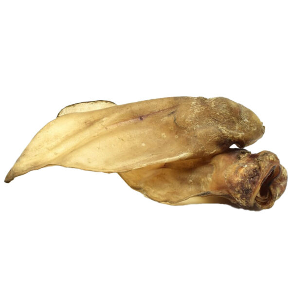 Runderoren met Vlees